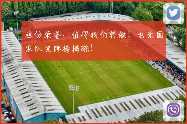 这份荣誉,值得我们骄傲!电竞国家队奖牌榜揭晓!