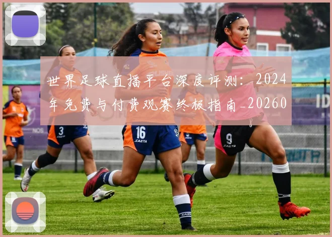 世界足球直播平台深度评测:2024年免费与付费观赛终极指南_20260609201544